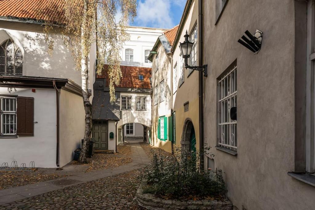 Pueha Vaimu Kuelaliskorter Tallinn Dış mekan fotoğraf